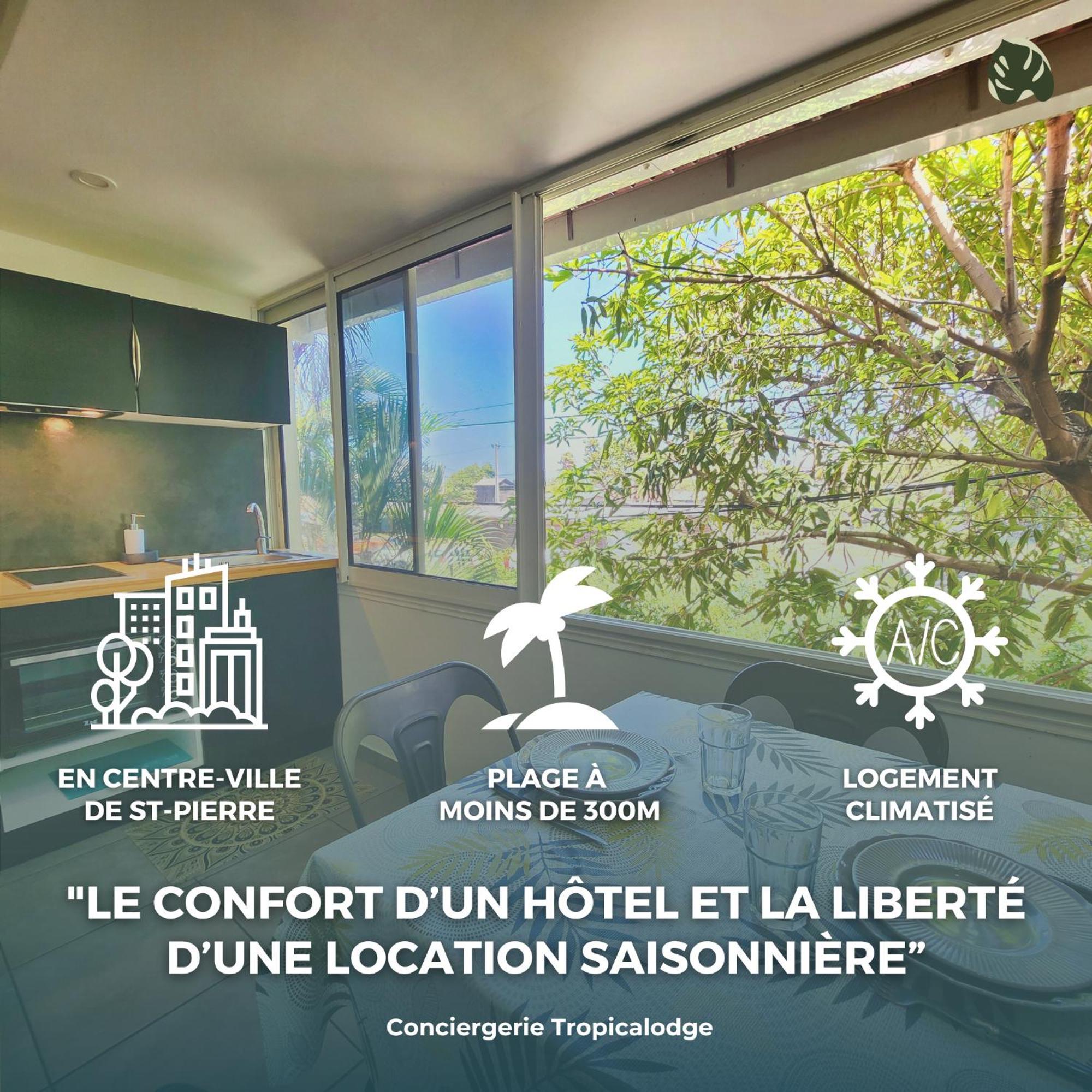 Le Manguier Apartment Сен-Пиер Екстериор снимка